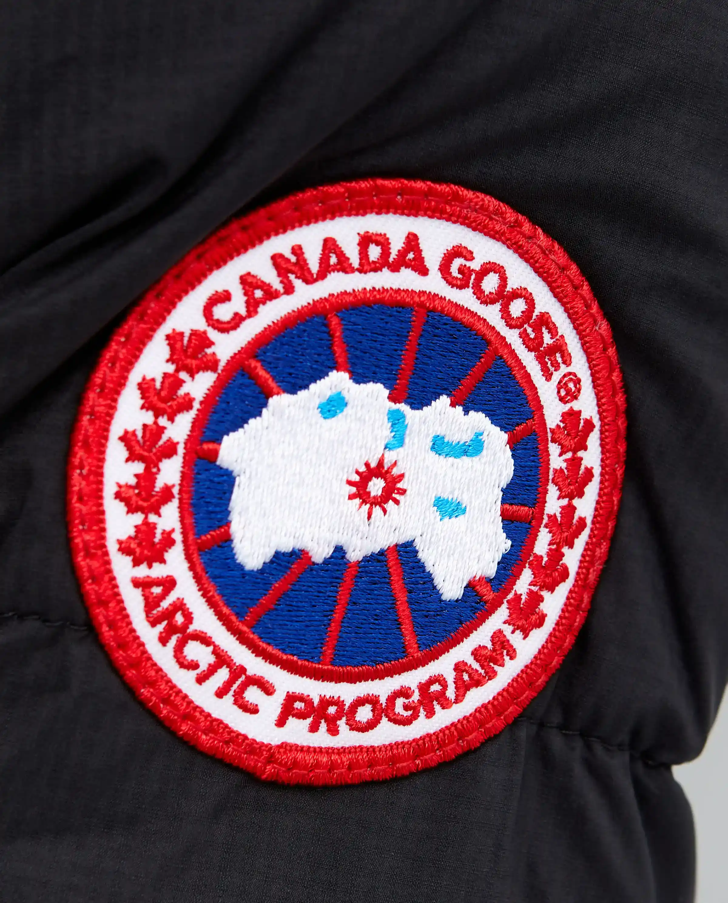 Пальто CANADA GOOSE Black Alliston